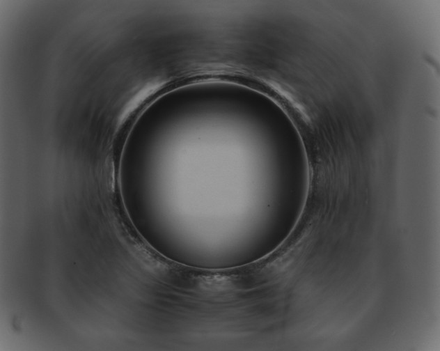 X0000093161317200709261501