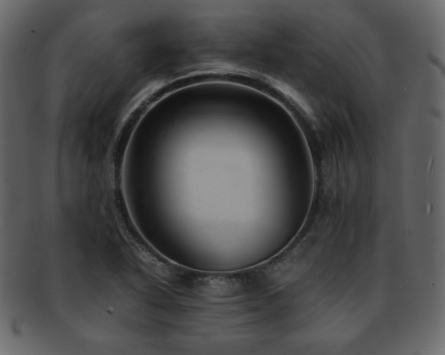 X0000093161318200709261501