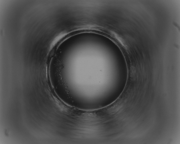 X0000093161320200709261501