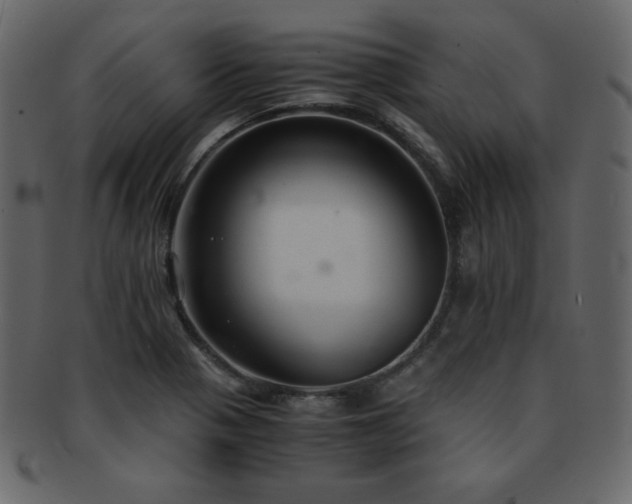 X0000093161321200709261501