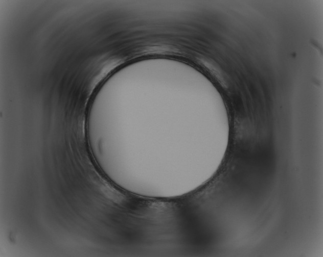 X0000093161322200709261501