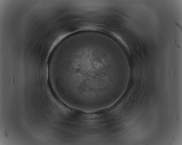 X0000093161323200709261501