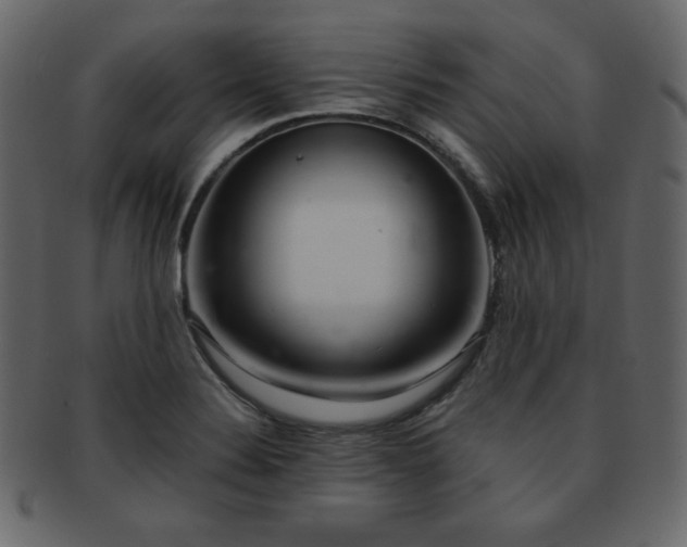 X0000093161324200709261501