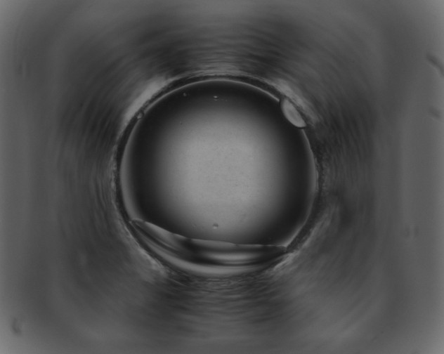 X0000093161325200709261501
