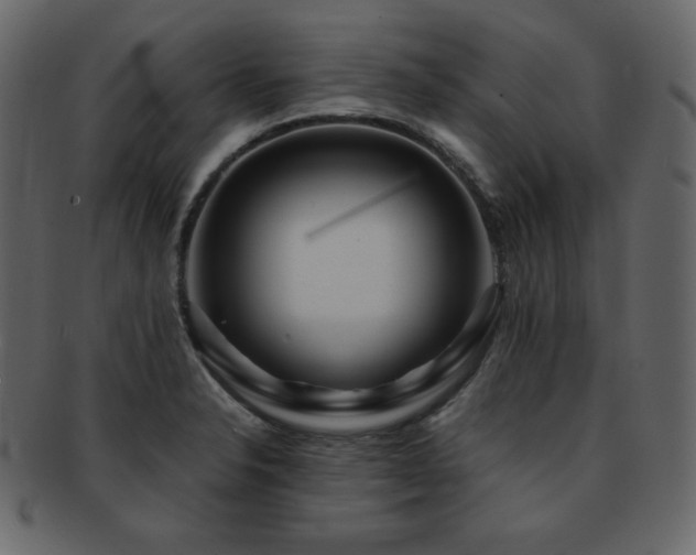 X0000093161326200709261501