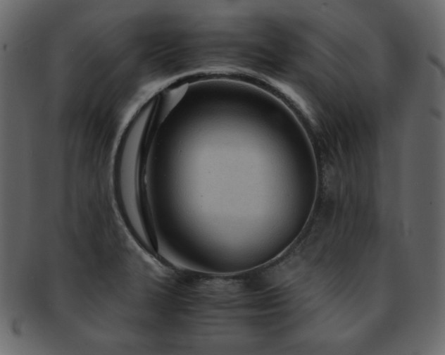 X0000093161327200709261501