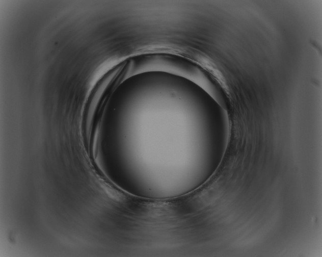 X0000093161328200709261501