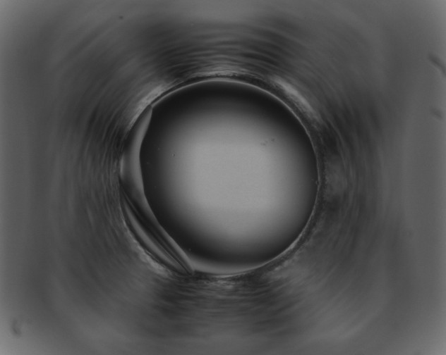 X0000093161329200709261501