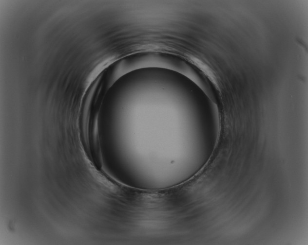 X0000093161330200709261501