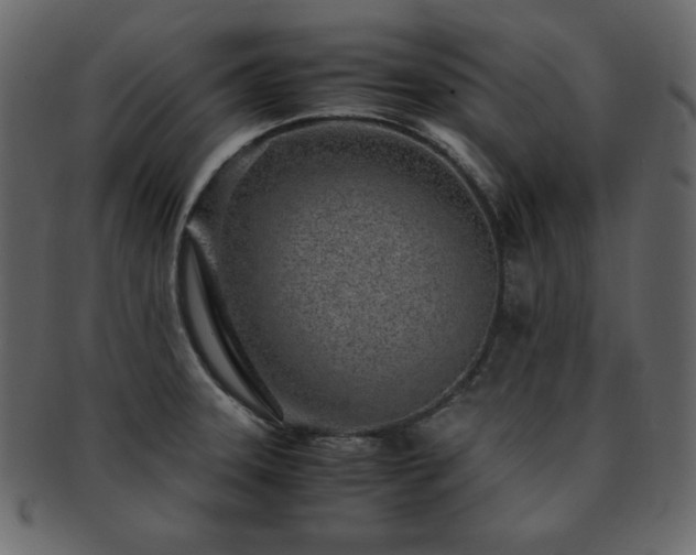 X0000093161331200709261501