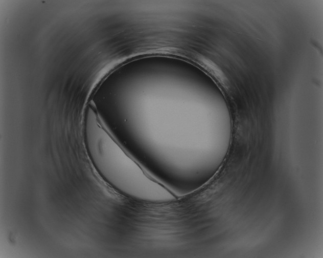 X0000093161332200709261501