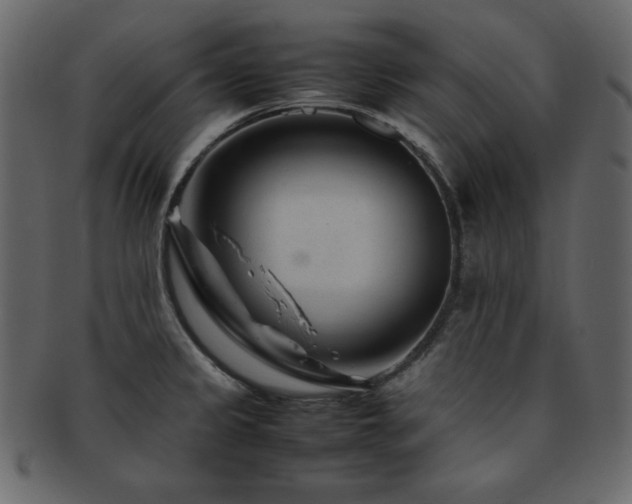X0000093161333200709261501