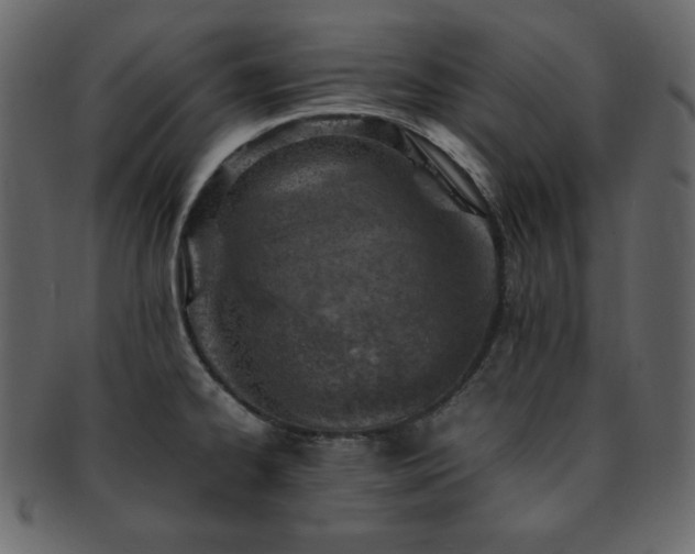 X0000093161334200709261501