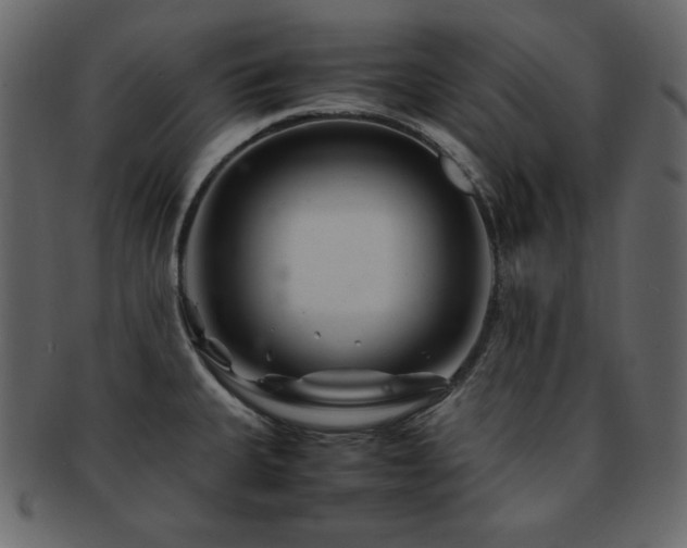 X0000093161335200709261501