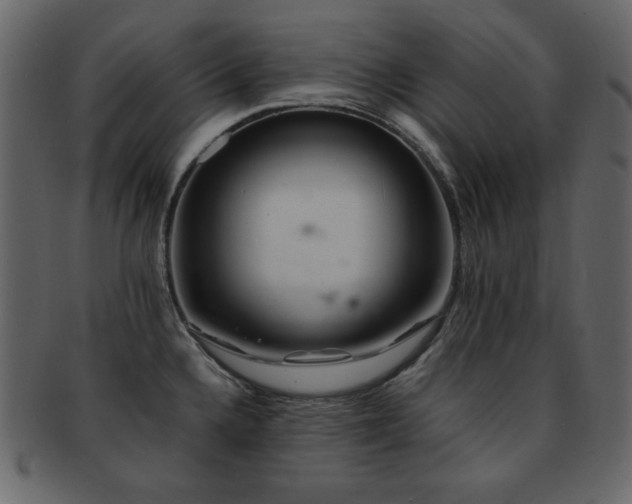 X0000093161336200709261501