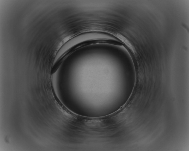 X0000093161337200709261501