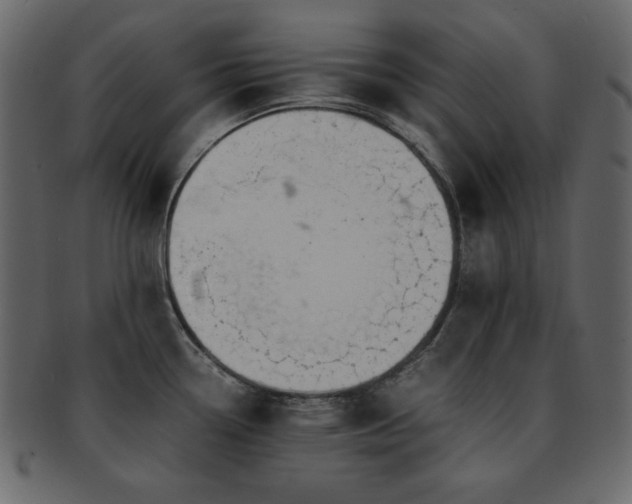 X0000093161338200709261501