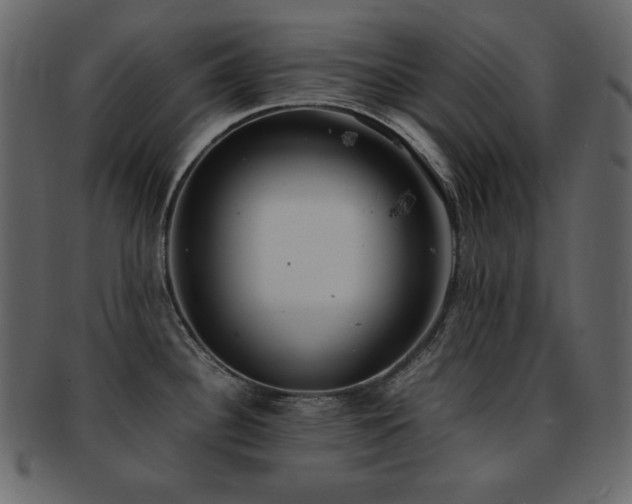 X0000093161340200709261501