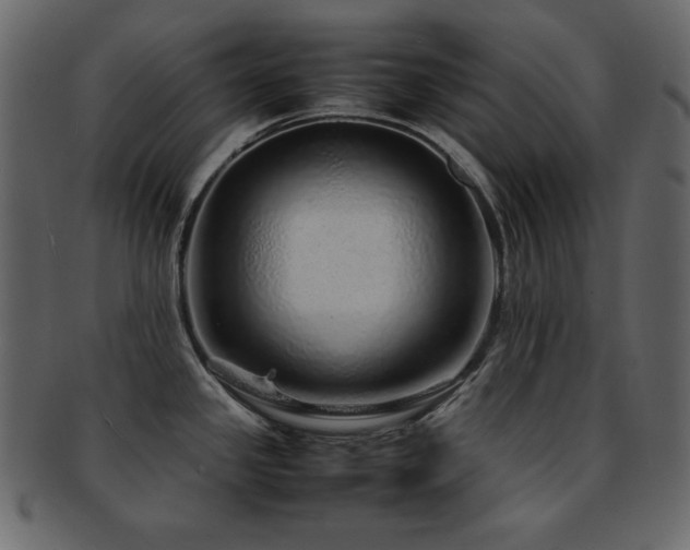 X0000093161341200709261501