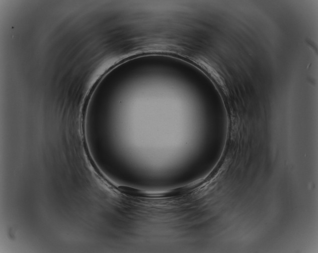 X0000093161342200709261501
