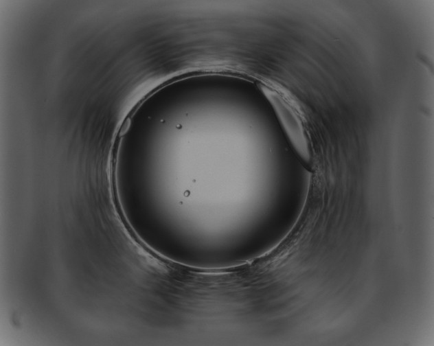 X0000093161343200709261501