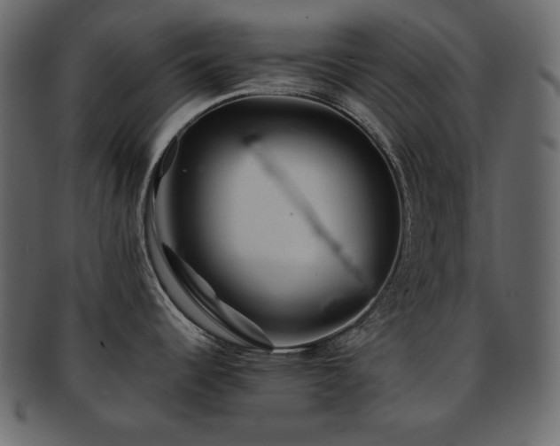 X0000093161344200709261501