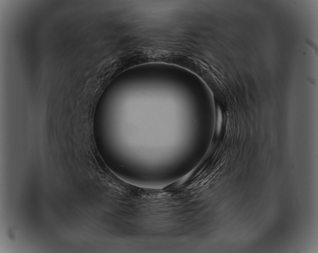 X0000093161345200709261501