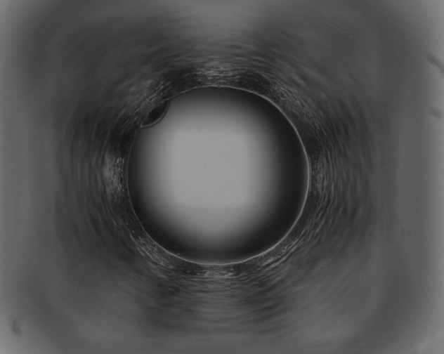 X0000093161346200709261501
