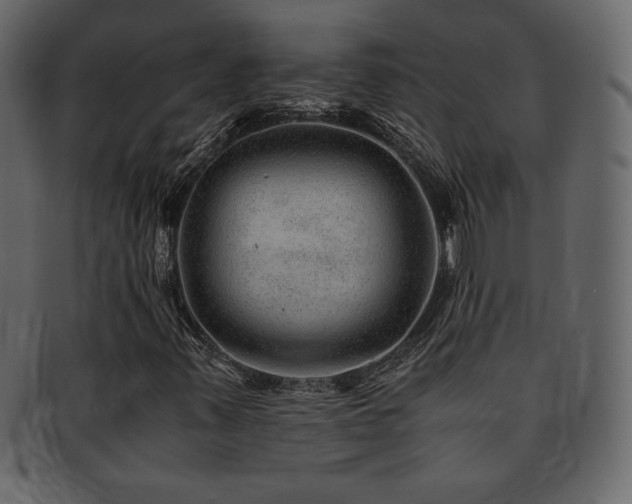 X0000093161347200709261501