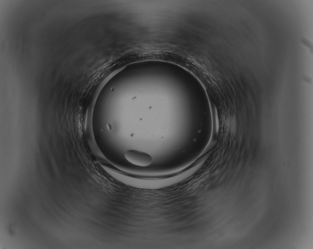 X0000093161348200709261501