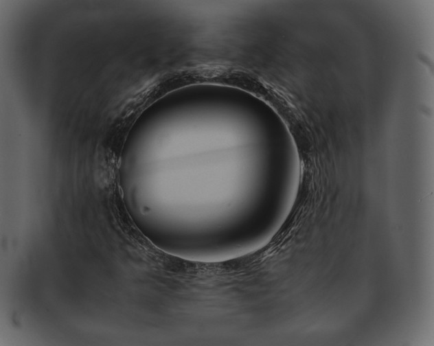 X0000093161349200709261501