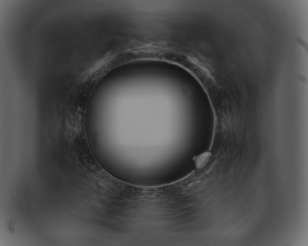 X0000093161350200709261501