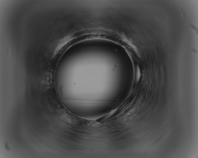 X0000093161352200709261501