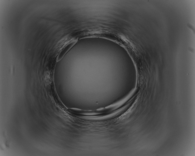 X0000093161353200709261501