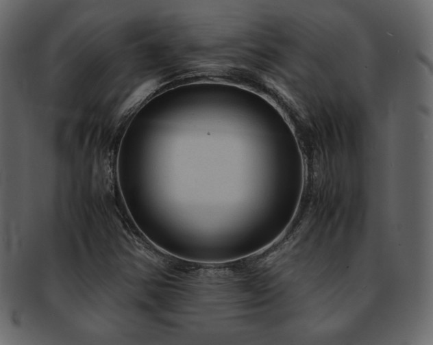 X0000093161354200709261501