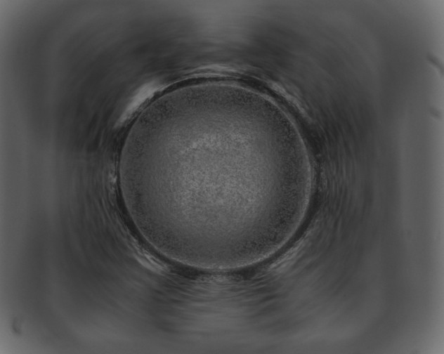 X0000093161355200709261501