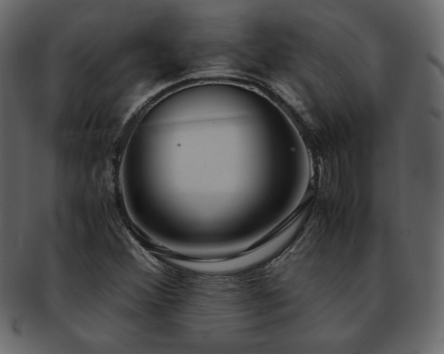 X0000093161356200709261501