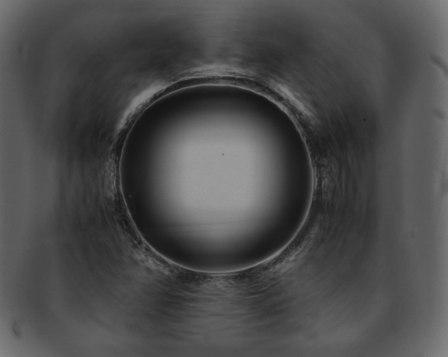X0000093161358200709261501