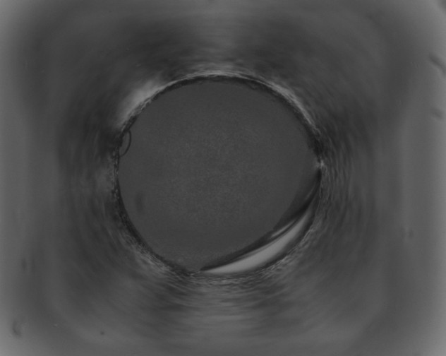 X0000093161359200709261501