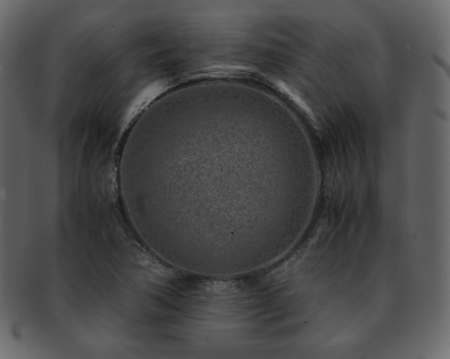X0000093161362200709261501