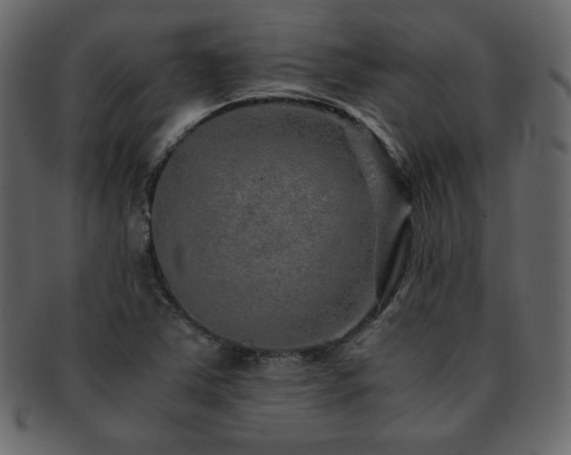 X0000093161363200709261501