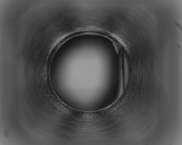X0000093161364200709261501