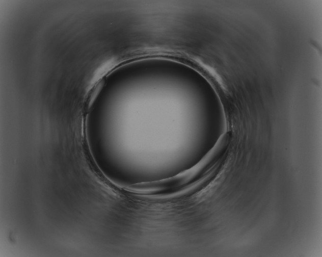 X0000093161365200709261501
