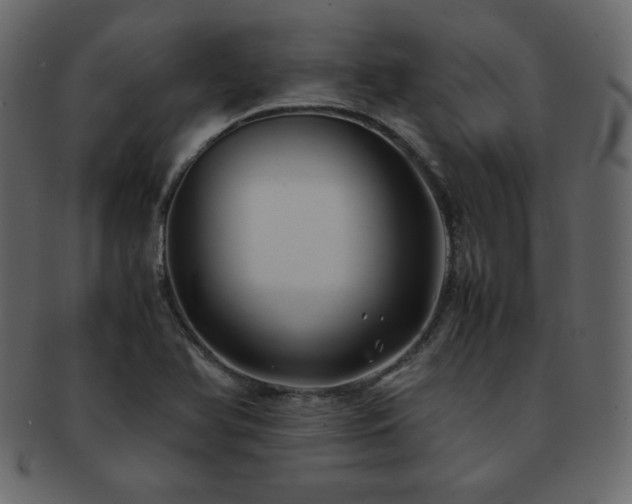 X0000093161366200709261501
