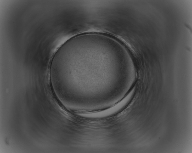 X0000093161367200709261501