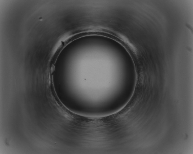 X0000093161368200709261501