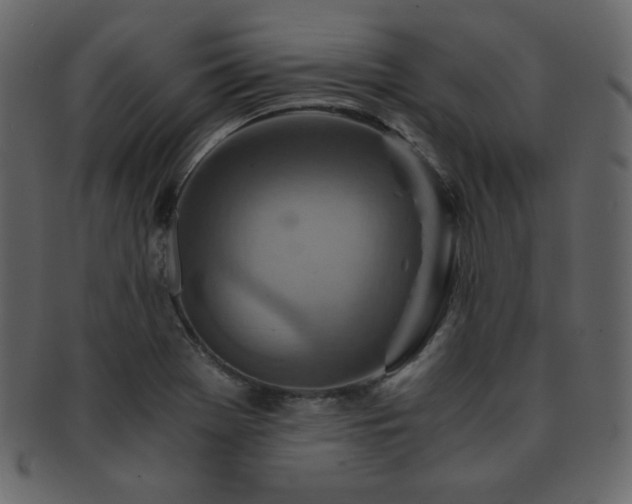 X0000093161369200709261501