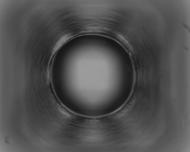 X0000093161370200709261501