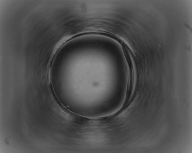 X0000093161371200709261501