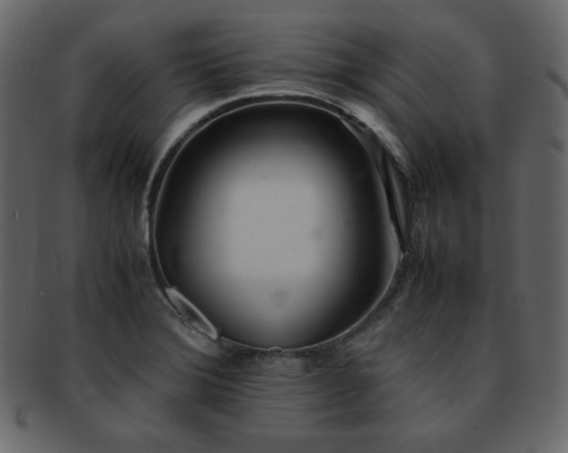 X0000093161372200709261501